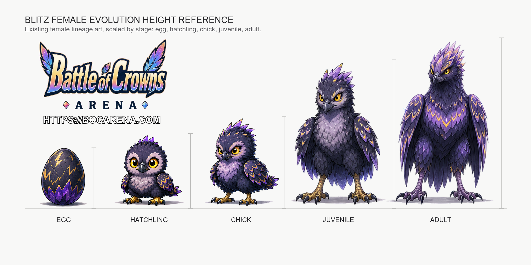 The Blitz Lineage Female Growth and Height Reference Sheet