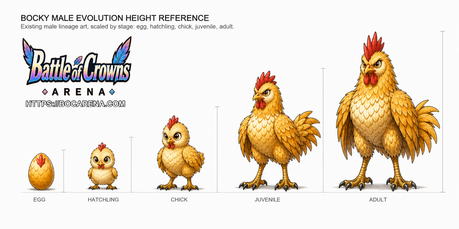 The Bocky Lineage Male Growth and Height Reference Sheet